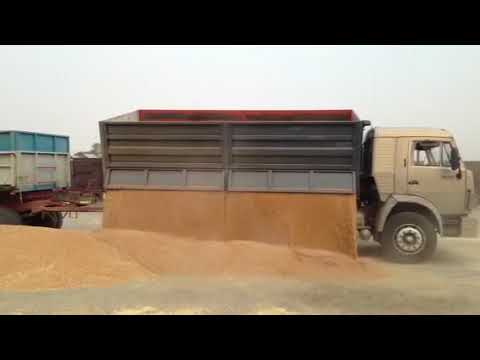 Видео: Выгрузка зерна на площадку