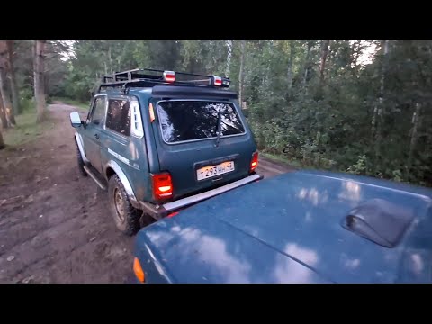 Видео: В поисках карпа (бесконтактная рыбалка)