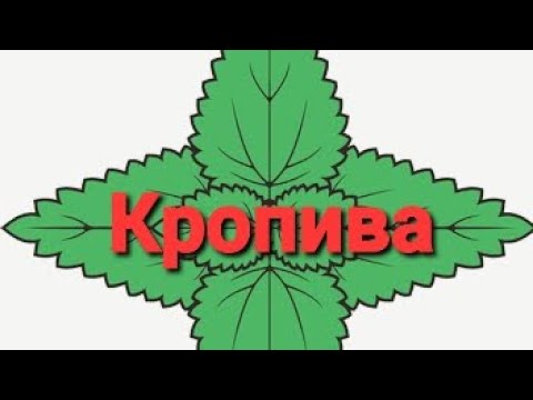 Видео: Інтерактивна військова мапа "кропива"