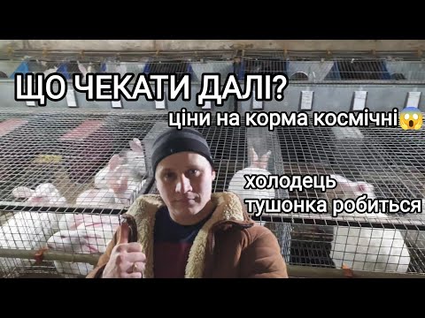 Видео: ВЕСНА НАСТУПАЄ КРОЛІ РОДЯТЬСЯ ХОЛОДЕЦЬ ТА ТУШОНКА РОБИТЬСЯ
