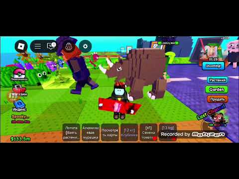 Видео: 1 ноября 2025 г.