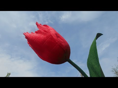 Видео: Огромный тюльпан из гофрированной бумаги