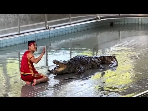 Видео: Крокодиловая ферма. Парк камней. Шоу крокодилов. Паттайя. Тайланд. Сентябрь 224.
