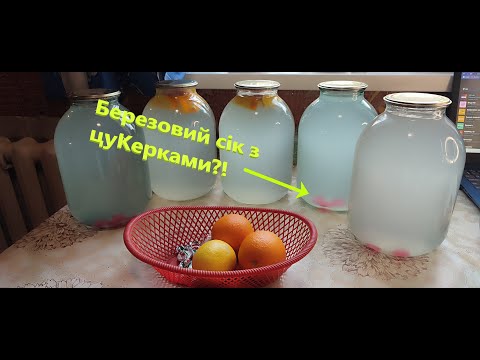 Видео: Березовий СІК із Цукерками?! Як це Робимо Ми?!