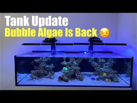 Видео: Обновление Waterbox Frag 145.5 за октябрь 2025 г.