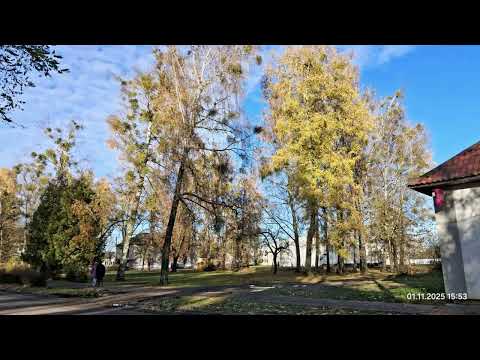 Видео: Щучин встречает ноябрь 2025