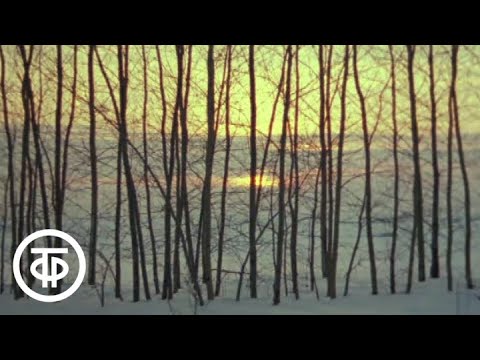 Видео: Февраль. Из цикла "Двенадцать месяцев" (1977)
