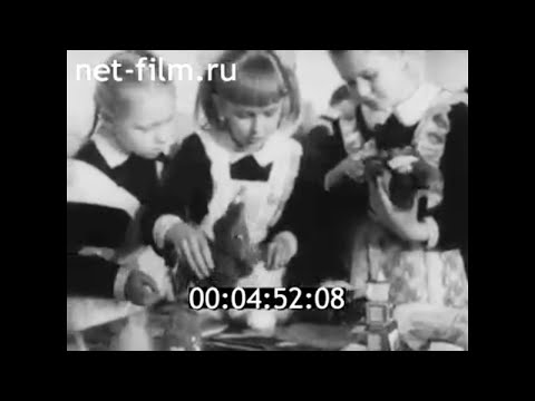 Видео: 1985г. Ярославль. школа №71