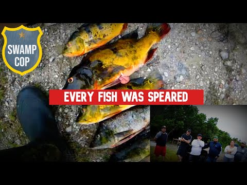 Видео: Группа поймана во время незаконной подводной охоты