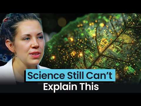 Видео: Мы принимаем это чудо как должное каждый день