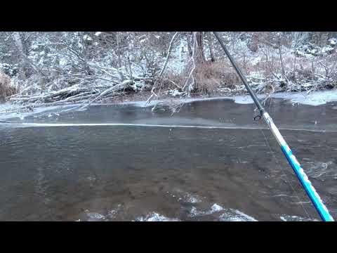 Видео: ХАРИУС В ОКТЯБРЕ ПО ШУГЕ. СОБИРАЕМСЯ ДОМОЙ С БАТЕЙ. ч/3