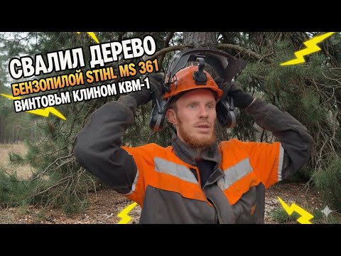 Видео: Валка дерева испытания для лесоруба не заложить дорогу 