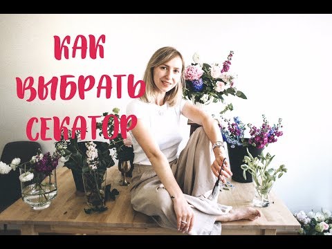 Видео: КАК ВЫБРАТЬ СЕКАТОР ФЛОРИСТУ