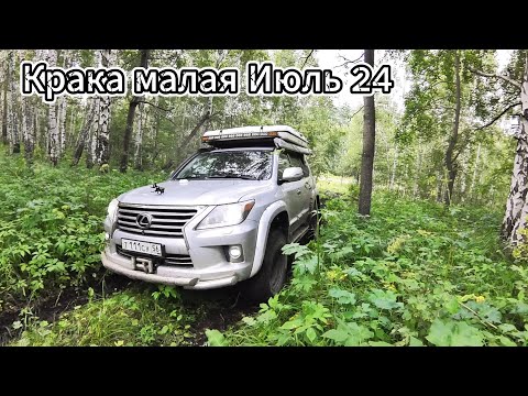 Видео: Крака малая Июль 24