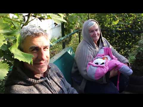 Видео: VLOG Лисёнку 2 месяца. Новое достижение!