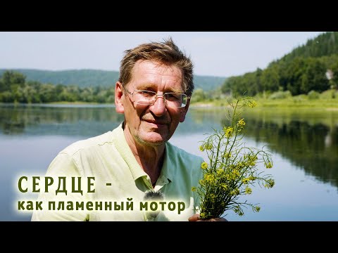 Видео: Убираем отёки и увеличиваем ресурс сердца на 30%