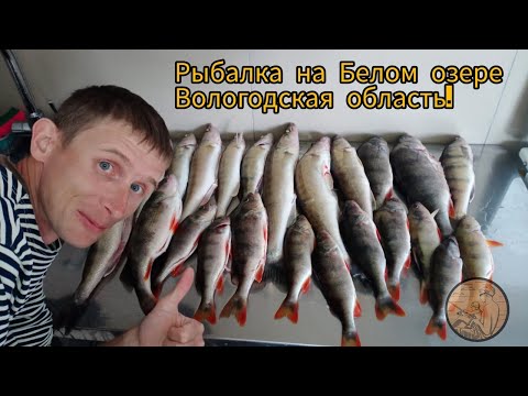 Видео: Рыбалка на Белом озере