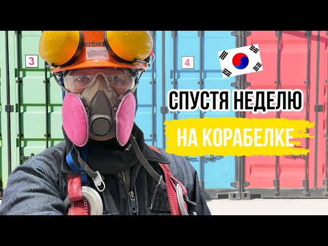 Видео: Первые впечатления о корабелке в Южной Корее