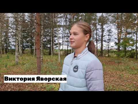 Видео: О, Спорт. Ты - Мир!/Лотошино/Культурно-спортивный центр "Лотошино"