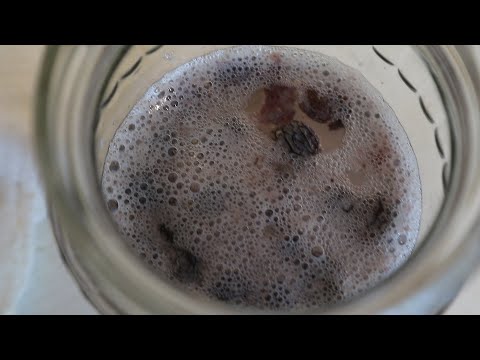 Видео: Как сделать дикие или винные дрожжи для напитков Из изюма Самый простой рецепт