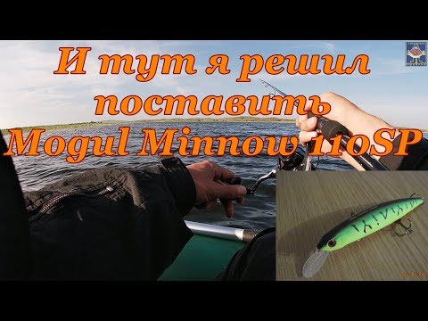 Видео: MOGUL MINNOW 110SP Помог уйти от ноля !!!