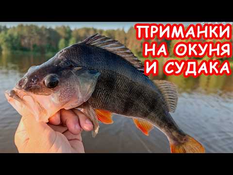 Видео: ПРИМАНКИ НА ОКУНЯ И СУДАКА. МИКРОДЖИГ. РЫБАЛКА НА СПИННИНГ