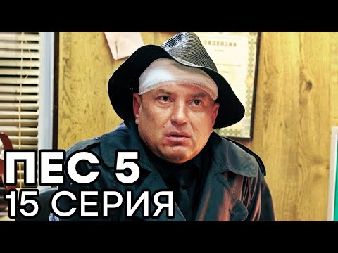 Видео: Сериал ПЕС - 5 сезон - 15 серия - ВСЕ СЕРИИ смотреть онлайн | СЕРИАЛЫ ICTV