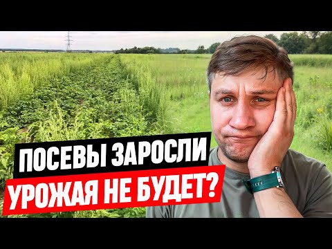 Видео: КАК Я ДОКАТИЛСЯ ДО ЖИЗНИ ТАКОЙ, ЧТО ТЕПЕРЬ ДЕЛАТЬ ?