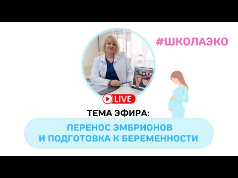 Видео: Перенос эмбрионов и подготовка к беременности (онлайн-проект Школа ЭКО)