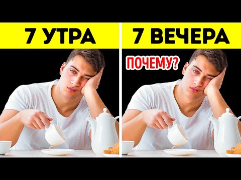 Видео: Почему вы постоянно чувствуете усталость, даже если хорошо высыпаетесь?