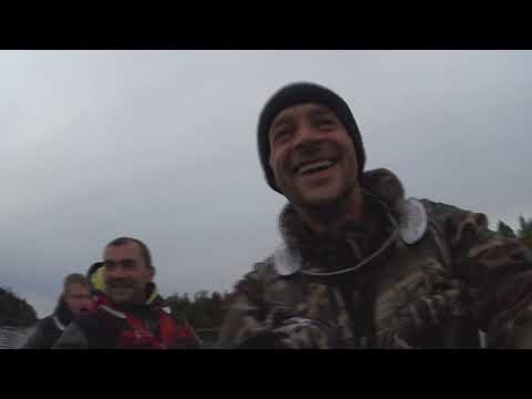 Видео: лексозеро вожъярви 2