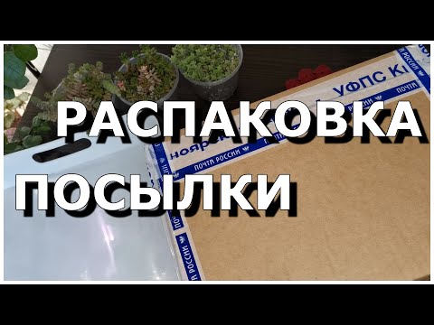 Видео: Распаковка посылки с Хойями, Бегониями и Эсхинантусами