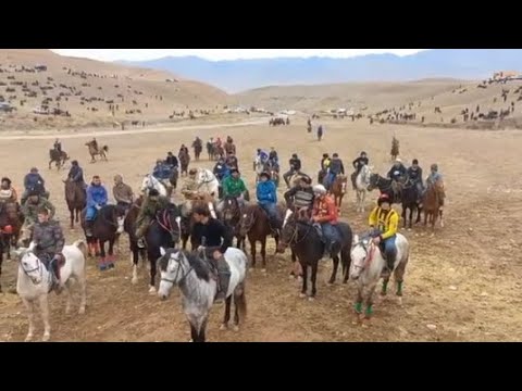 Видео: Бузкаший дар Шаҳри Панҷакент 5.10.2025.