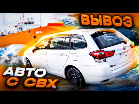 Видео: Забираем машины с таможни! СВХ ЧЭМК, лаборатория. Как все устроено?