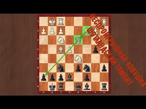 Видео: Шотландский гамбит.Беспроигрышная ловушка! Часть 4. Игра за черных.