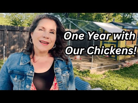 Видео: Реалии содержания кур на заднем дворе — взгляд на наш первый год с нашими курами