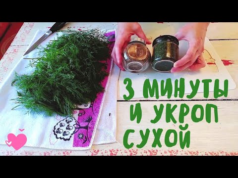 Видео: УКРОП остается ЗЕЛЕНОГО цвета после супер-сушки. Сушим укроп.