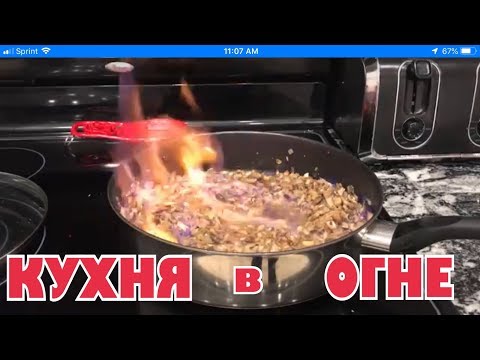 Видео: (1879) ОБАЛДЕННАЯ КУРИЦА С ГРИБАМИ В СЛИВОЧНОМ СОУСЕ, ВИНСЕНТ ЧУТЬ С ТАРЕЛКОЙ НЕ СЪЕЛ! .
