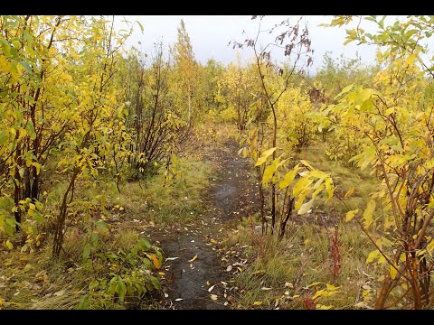 Видео: 2024.09.09. Норильск. Первый снег в воздухе! Это праздник, поздравляю всех!!!