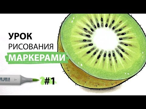 Видео: Урок по рисованию маркерами для новичков #1 / Рисуем киви