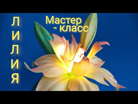 Видео: МК ЛИЛИЯ махровая азиатская из изолона, светильник от Любови Малюгиной