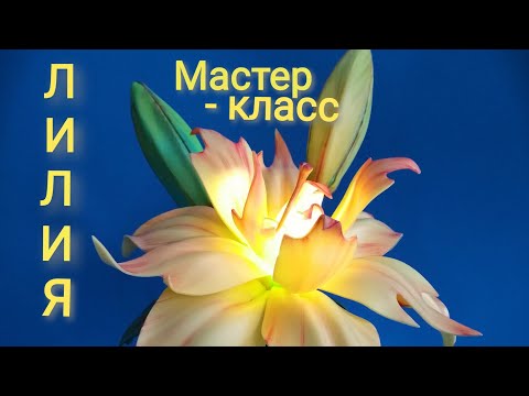 Видео: МК ЛИЛИЯ махровая азиатская из изолона, светильник от Любови Малюгиной