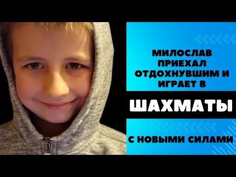 Видео: Милослав приехал отдохнувший и играет в шахматы c новыми силами