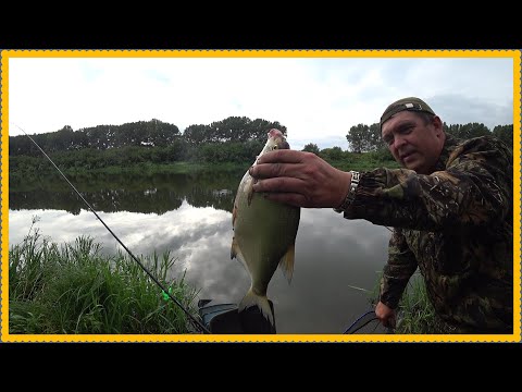 Видео: Донские лещи, подуст, селёдка на фидер, в перелом пагоды.