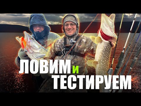 Видео: ТЕСТ ПРОЙДЕН! Тестируем новые спиннинги для твичинга и заодно ловим рыбу!