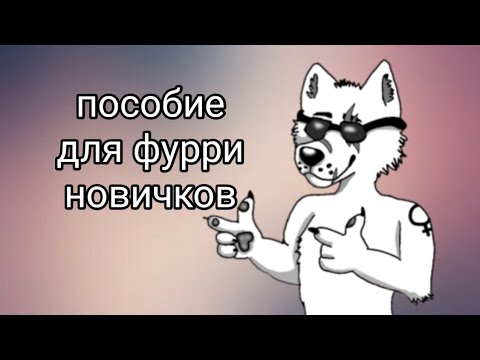 Видео: 🐾ТО, ЧТО НУЖНО ЗНАТЬ ФУРРИ НОВИЧКАМ 🐾