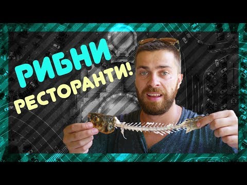 Видео: Къде са най-вкусните МОРСКИ СПЕЦИАЛИТЕТИ? @ URBAN LIFE