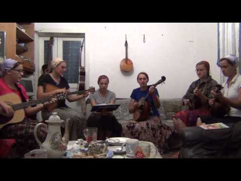 Видео: Перцы Сахновщина. Дорогой к Иерихону