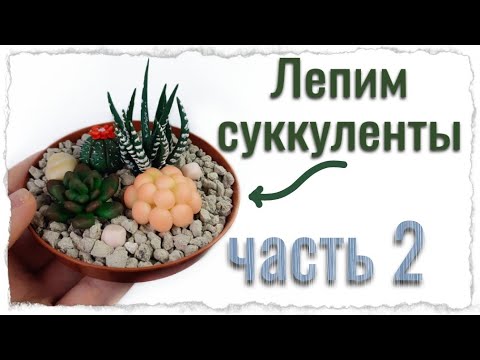Видео: Как слепить суккуленты / суккуленты из полимерной глины