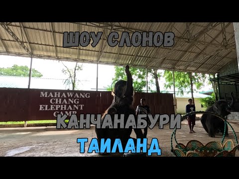 Видео: Шоу слонов. Канчанабури. Таиланд | Elephant show. Kanchanaburi. Thailand
